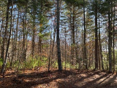 0 Hedden 19 129, Murphy, NC, 28906