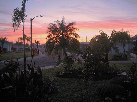 morning view from front porch