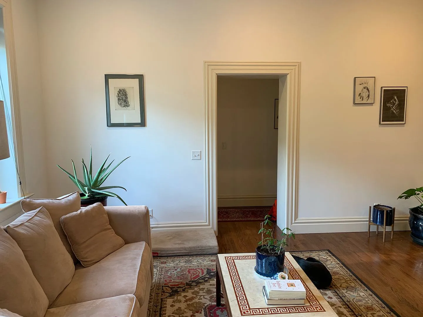 Recently Renovated Historic Mansion in Benton Park — Photo 4