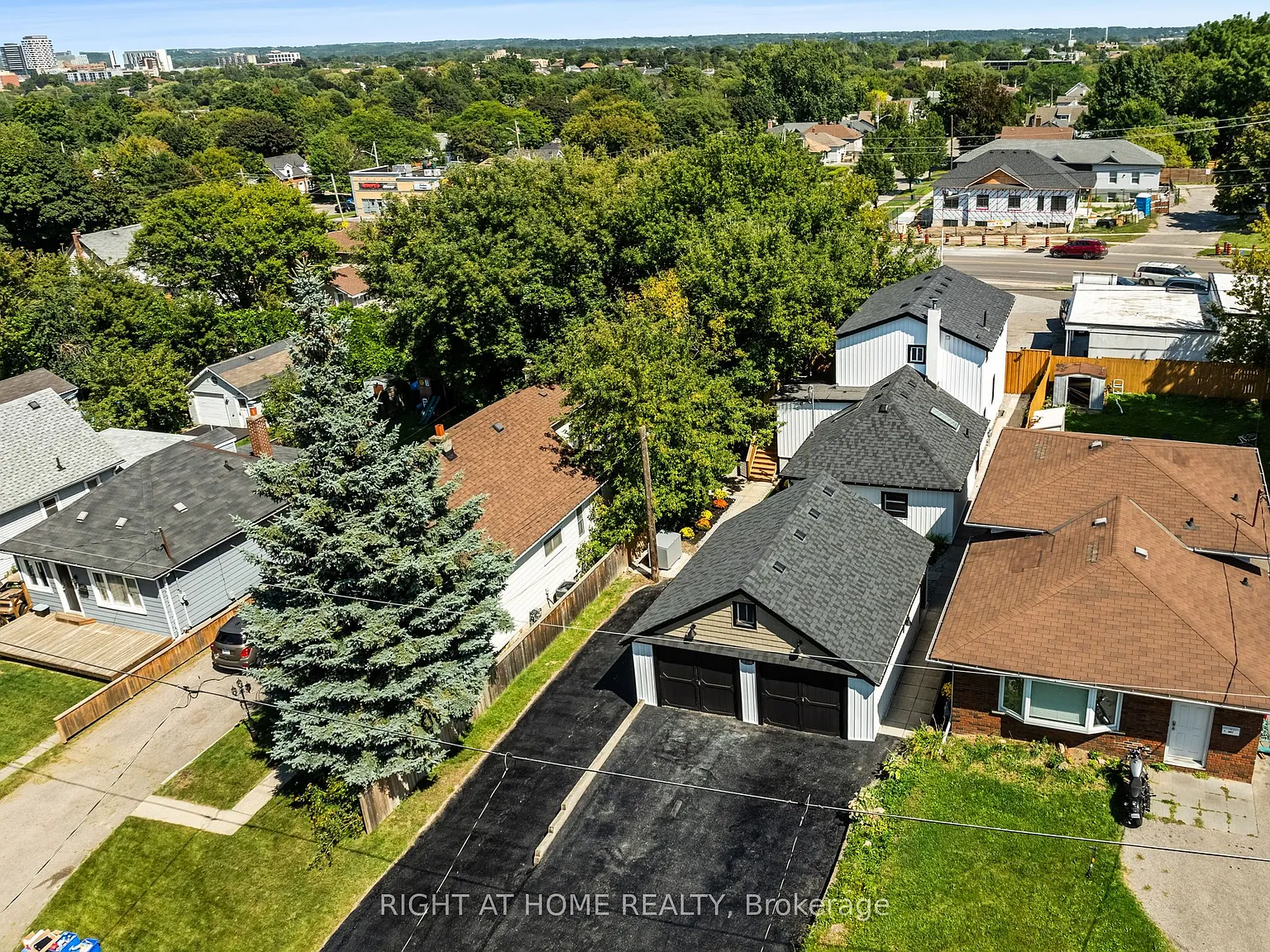 1 bed, $1,350 — Photo 2
