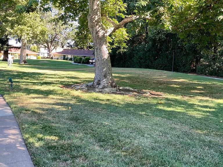 Lassen Villa Apartments — Photo 20