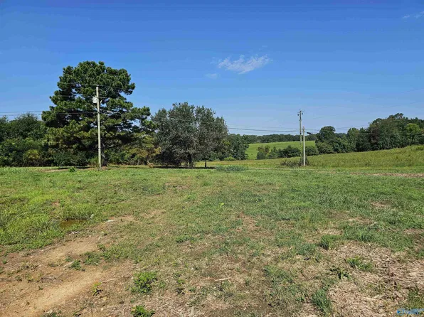 514 Mockingbird Rd, Arab, AL 35016
