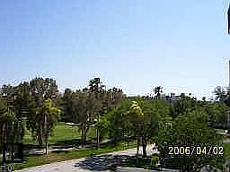 golf course view