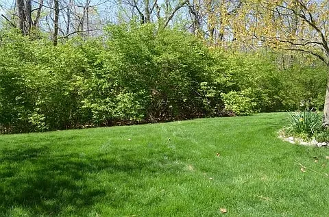 4128 Spanish Bay Dr — Photo 2