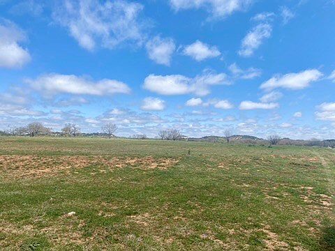 2nd image of 601 Upper Liveoak Rd