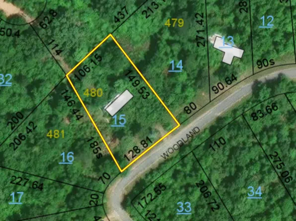 397 Woodland Dr Lot 480, Abbeville, AL 36310