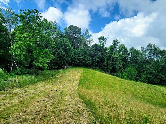 3rd image of TBD Beech Mountain Road