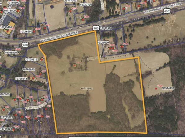 1199 Berry Ln, Thaxton, VA 24174