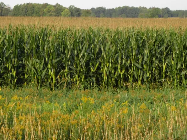 STATE HIGHWAY 73, Neillsville, WI 54456