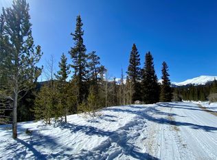 210 Guymard Rd #1196, Fairplay, CO 80440