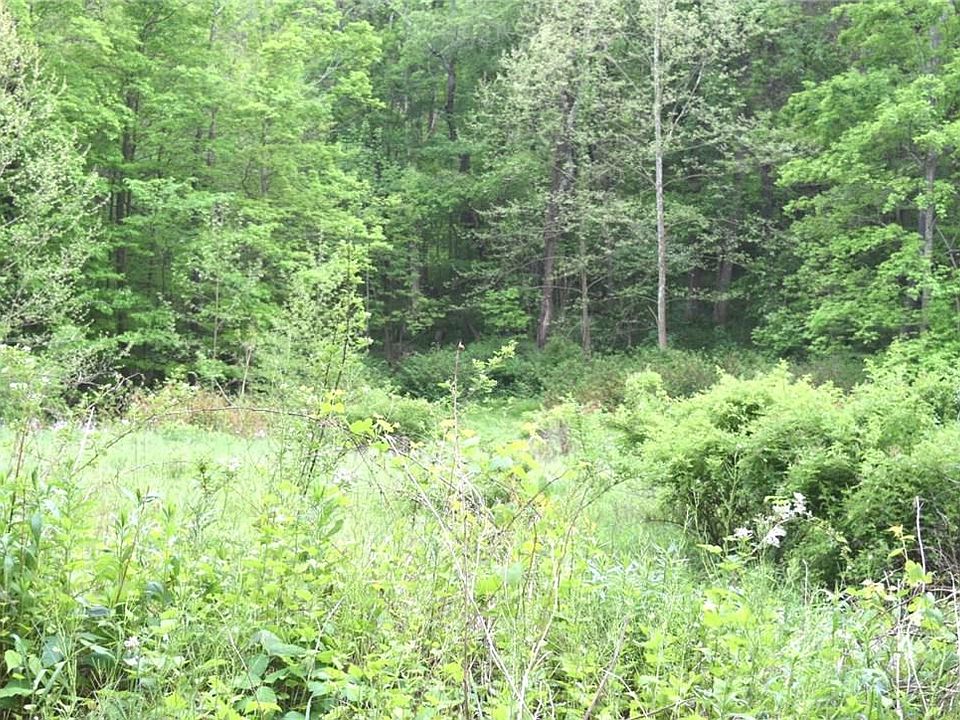 2nd image of LOT 1 Saunders Station Rd