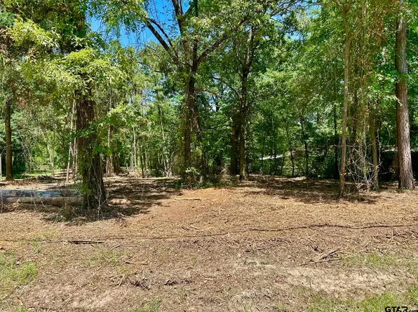 21041 Forest Grove Dr, Chandler, TX 75758