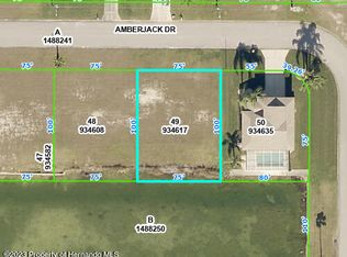 4058 Amberjack Dr, Spring Hill, FL 34607