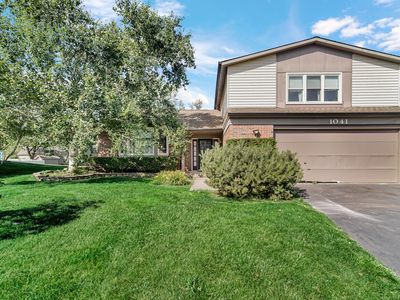 1041 Whitehall Ct, Bolingbrook, IL, 60440