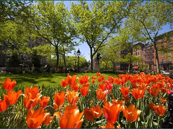 299 West 12th Street image 1 of 1