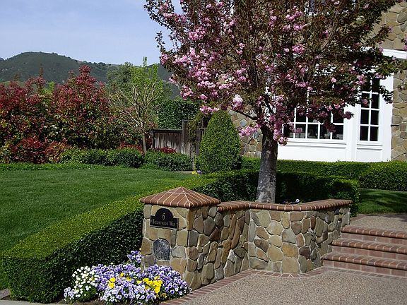 Left front cherry tree