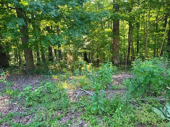3rd image of 0 Scenic Dr Lot 43
