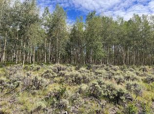 259 Mallard Rd, Leadville, CO 80461