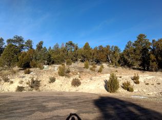 3363 Spring Ct, Overgaard, AZ 85933