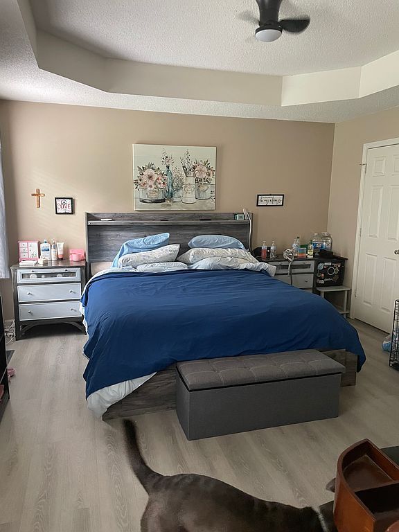 148 Carthage Blvd - Property Image