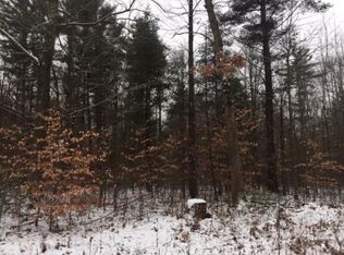 NULLA Lois Ln, Howard City, MI 49329