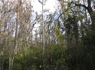 Commonwealth Ave N, Polk city, FL 33868