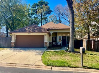 13901 Hydra Ct, Willis, TX 77318