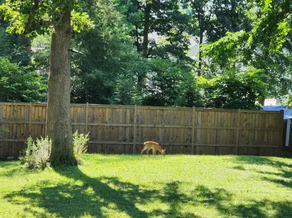 3319 Jermantown Rd, Fairfax, VA 22030