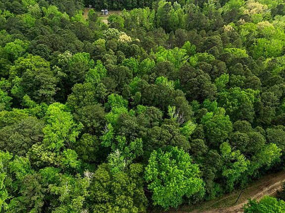 4th image of Chinaberry Rd Tract 4
