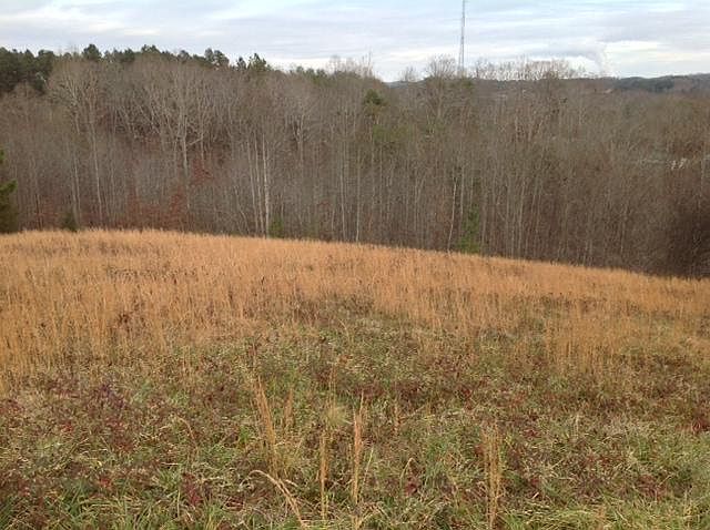1st image of 30 Escape Dr Lot 30
