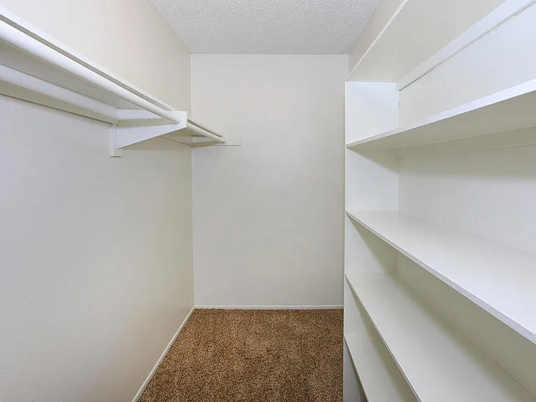 SPACIOUS WALK-IN CLOSET