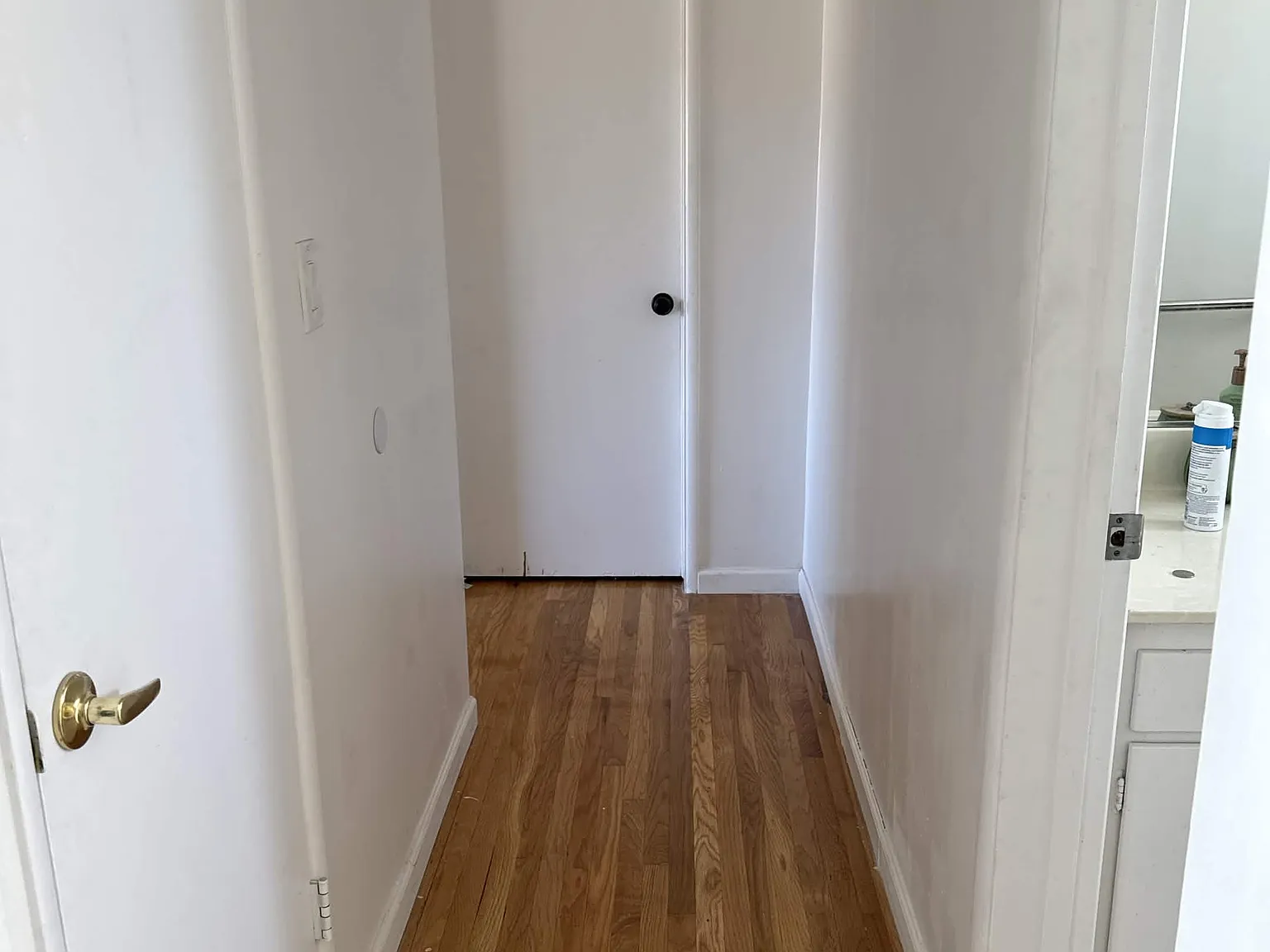 3 bed, 1231 sqft, $1,300 — Photo 2