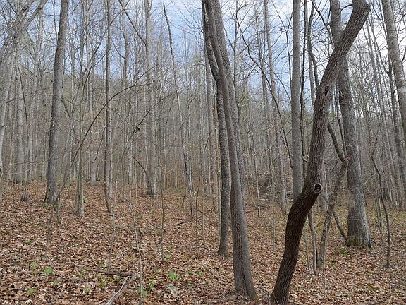 2nd image of Valley Spring Rd