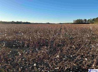 County Line Rd, Clio, SC 29525