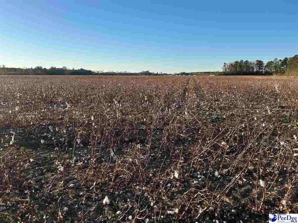 County Line Rd, Clio, SC 29525