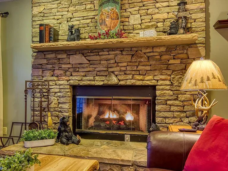 905 Smoky Bears Way — Photo 16