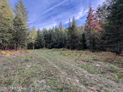 3507 Bear Creek Rd, Kingston, ID, 83839
