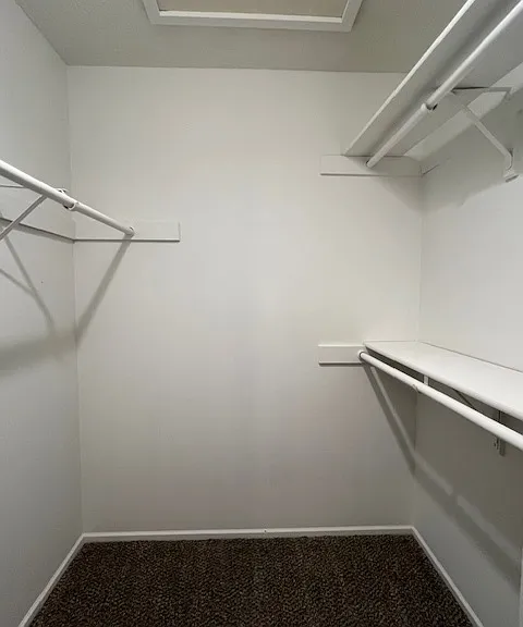 Big & New painted walk in closet with new carpet in master bedroom
