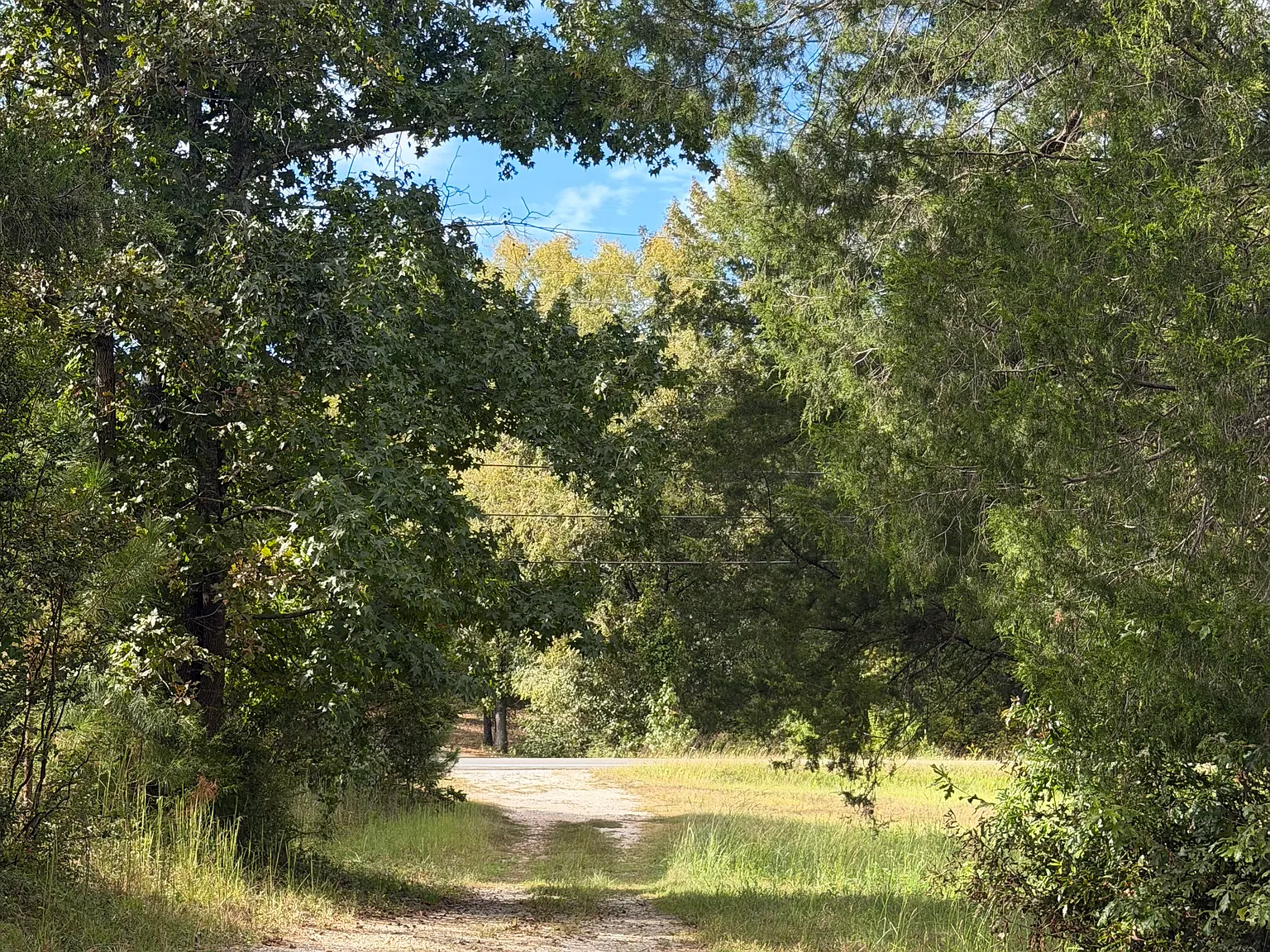 County Road 43, Vandiver — Photo 4