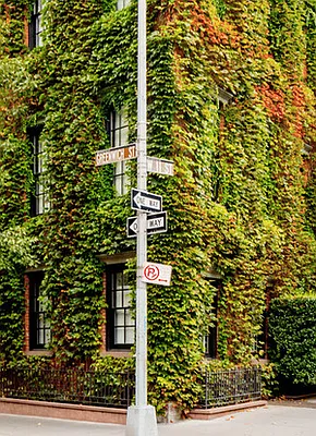 Rented by Douglas Elliman | media 9