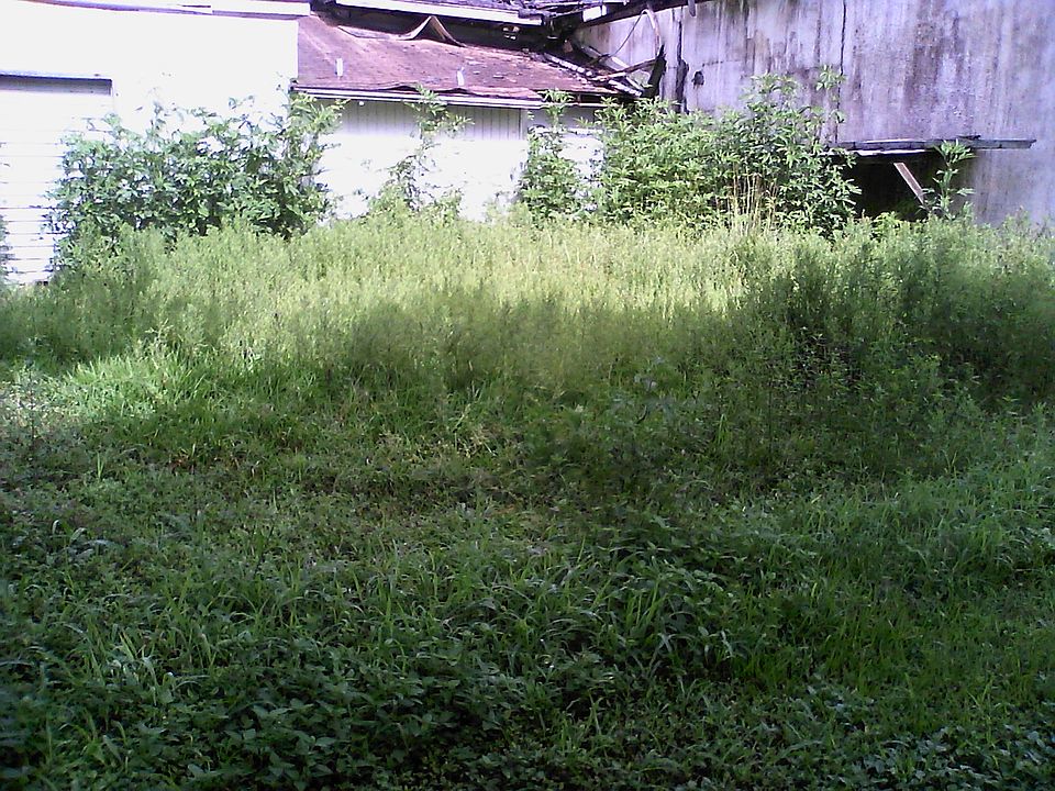 2nd image of 407 Marion Ave