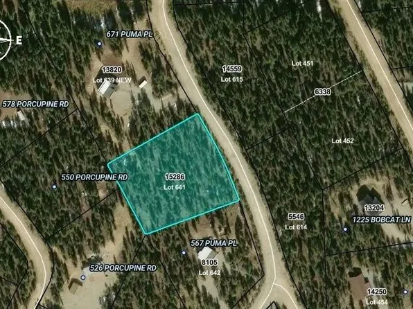 587 Puma Place, Fairplay, CO 80440