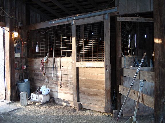 stall and stock on right