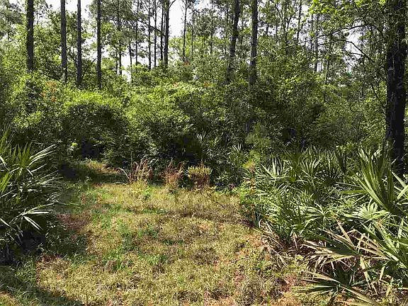 4th image of 0 Seminole Ln