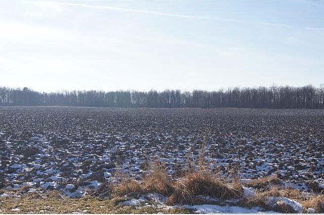 1st image of XXX 130th