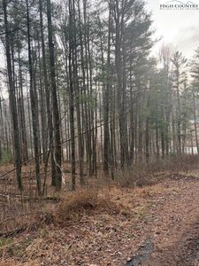 TBD Lot 468 Skyline Road, West Jefferson, NC, 28694