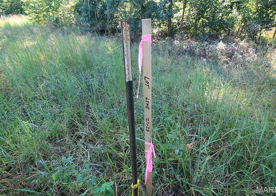 16th image of 0 Coldwater Crk #Creek_lot-2