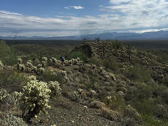 5th image of 16308 N Borrego Trl
