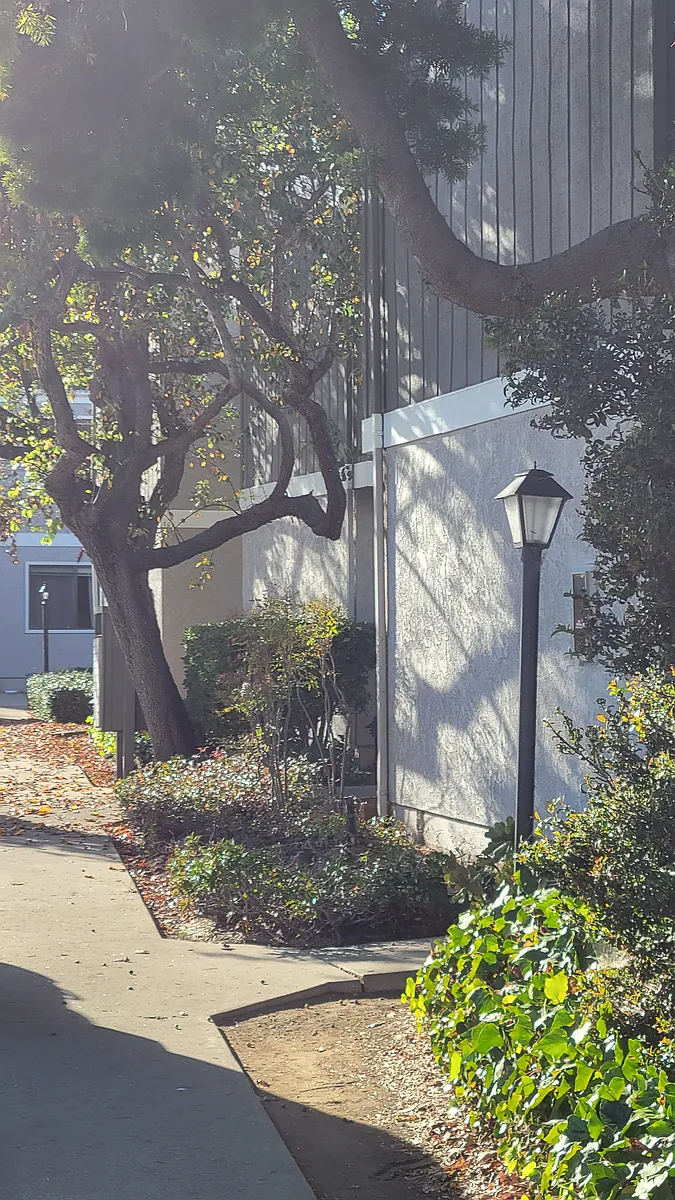 Building Photo - 1533 El Tigre Ct