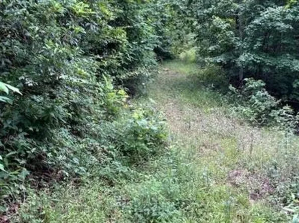 0 Trackrock Gap Rd, Blairsville, GA 30512